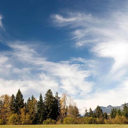 Relais & Chateaux Gut Steinbach Hotel Chalets Spa ライト・イム・ヴィンクル エクステリア 写真