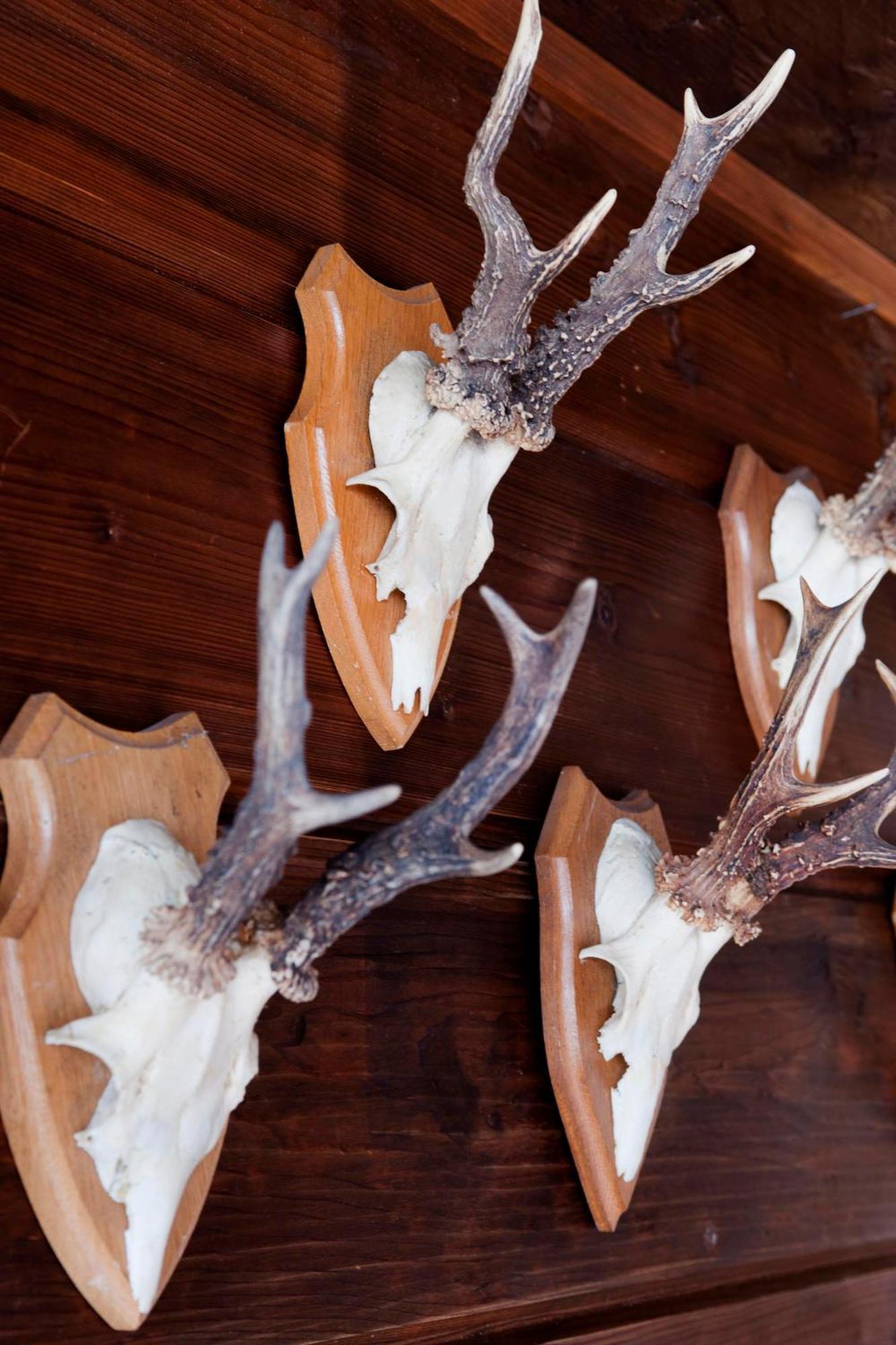 Relais & Chateaux Gut Steinbach Hotel Chalets Spa ライト・イム・ヴィンクル エクステリア 写真